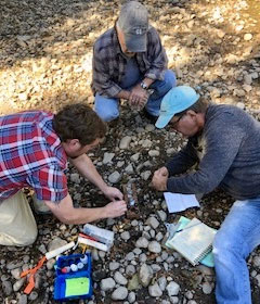 Health of Summit Creek